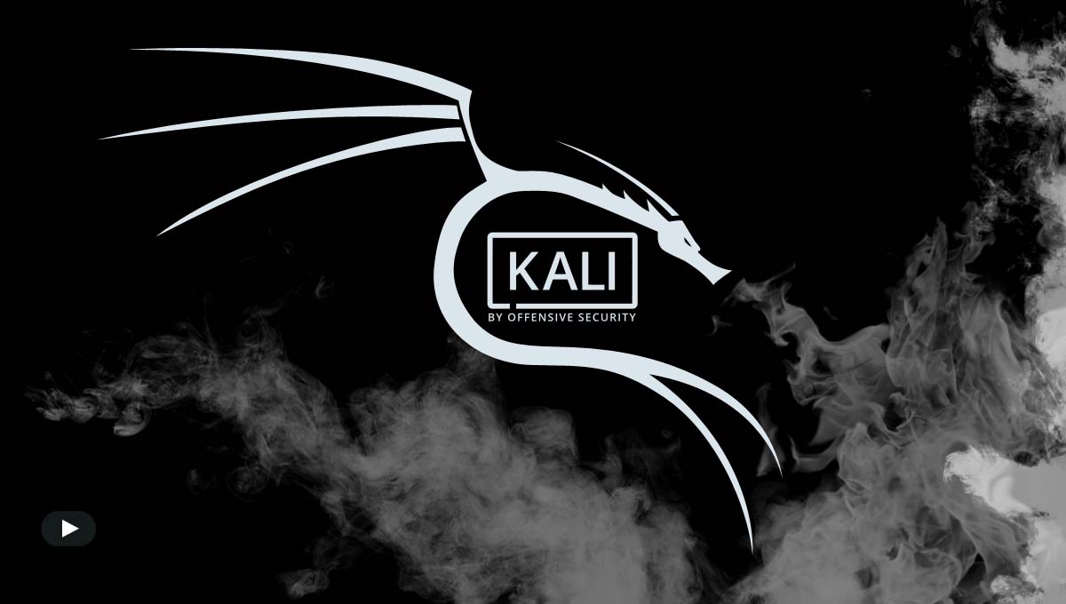 Kali linux что это